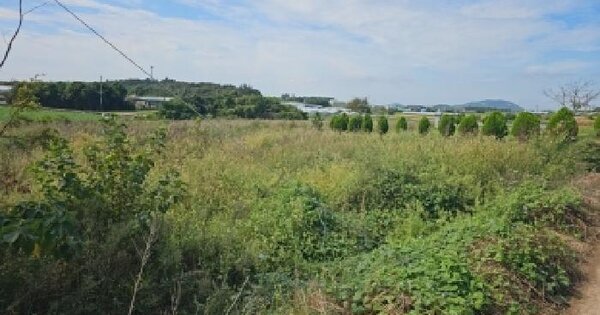 전남광주통합특별시 해남군 황산면 우항리 706  전 경매 물건 이미지