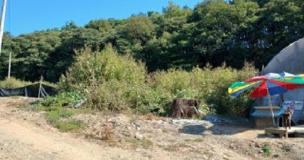 경기도 양주시 장흥면 삼상리 90-1  전 경매 물건 이미지