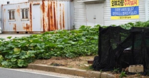 경상남도 밀양시 내이동 1526-10  대지 경매 물건 이미지
