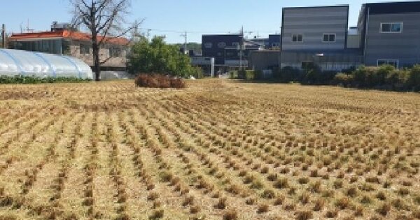 경기도 화성시 만세구 팔탄면 서근리 39  미지정 경매 물건 이미지