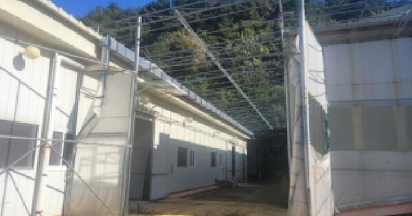 충청북도 보은군 산외면 이식리 318-2  미지정 경매 물건 이미지