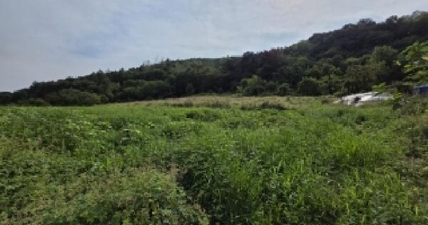 경상북도 청도군 풍각면 봉기리 1380  전 경매 물건 이미지