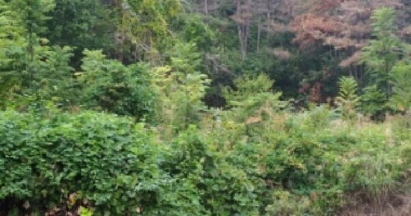 경상남도 밀양시 부북면 후사포리 149  전 경매 물건 이미지