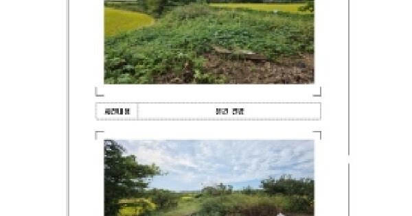 전남광주통합특별시 영암군 군서면 월곡리 637-23  전 경매 물건 이미지