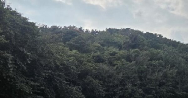 전남광주통합특별시 순천시 왕지동 산87-1  임야 경매 물건 이미지