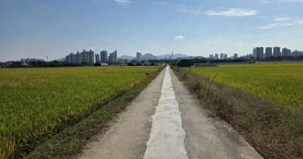 충청남도 아산시 염치읍 석정리 768  답 경매 물건 이미지