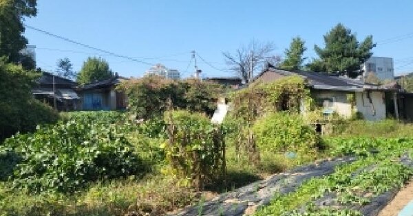 인천광역시 검단구 왕길동 422-2  대지 경매 물건 이미지