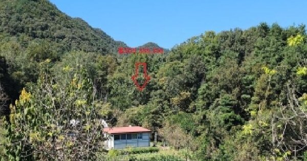 충청북도 옥천군 안내면 월외리 355  단독주택 경매 물건 이미지