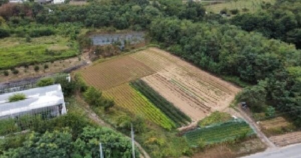 경상북도 김천시 아포읍 국사리 376  과수원 경매 물건 이미지