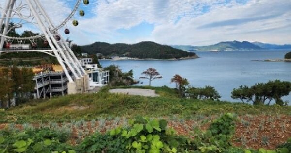 전남광주통합특별시 여수시 돌산읍 평사리 1292-37  임야 경매 물건 이미지