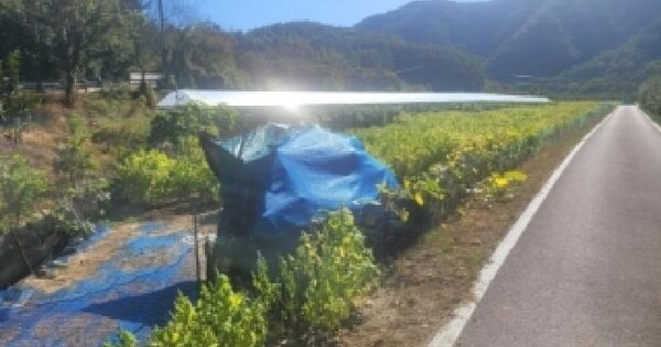 충청북도 보은군 속리산면 백현리 187  전 경매 물건 이미지