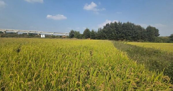 경기도 평택시 오성면 숙성리 675-56  전 경매 물건 이미지