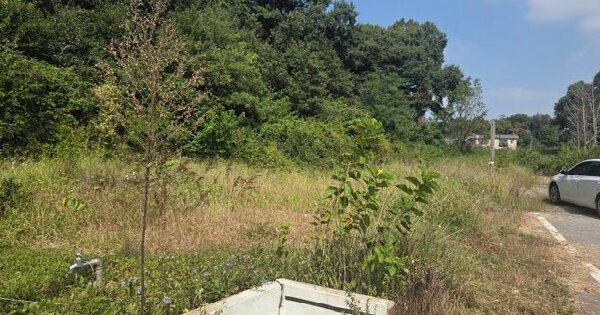 경기도 평택시 포승읍 석정리 546-4  대지 경매 물건 이미지