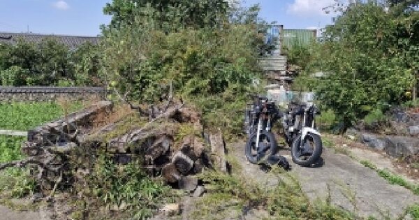 충청남도 보령시 명천동 790-10  임야 경매 물건 이미지