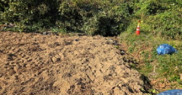 충청남도 천안시 서북구 직산읍 남산리 산28-1  임야 경매 물건 이미지