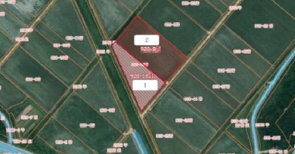 충청남도 당진시 석문면 초락도리 920-10  답 경매 물건 이미지