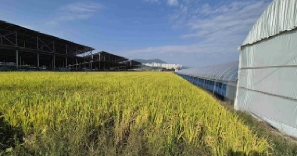 충청남도 천안시 동남구 풍세면 풍서리 83  답 경매 물건 이미지