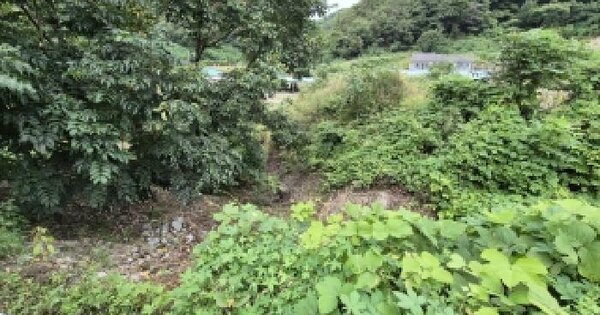 경상북도 경주시 황용동 107  답 경매 물건 이미지
