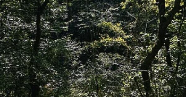 경상북도 영주시 단산면 좌석리 279  전 경매 물건 이미지