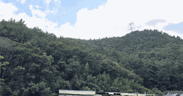 경상남도 사천시 이홀동 산9-1  임야 경매 물건 이미지