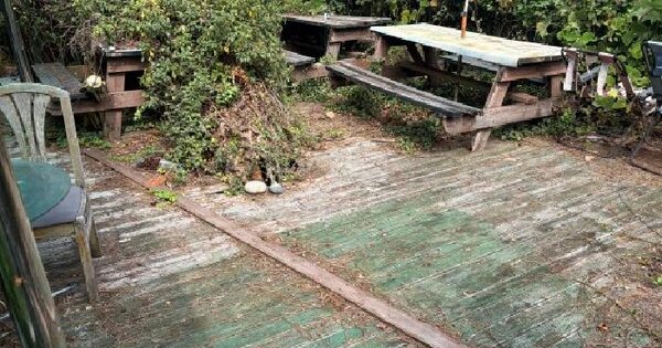 경상남도 거제시 능포동 산97-1  임야 경매 물건 이미지
