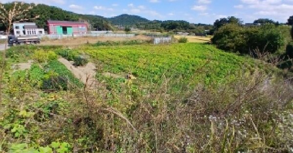 전북특별자치도 익산시 영등동 856-3  근린시설 경매 물건 이미지