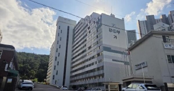 강원특별자치도 삼척시 정상동 356-2 강부3차아파트 가동 4층403호 아파트 경매 물건 이미지