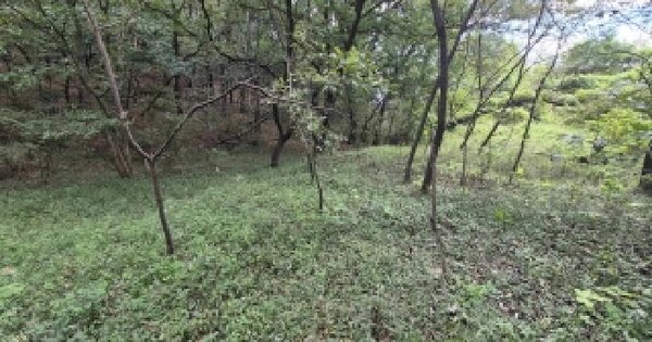 충청남도 천안시 동남구 목천읍 천정리 212-3  전 경매 물건 이미지
