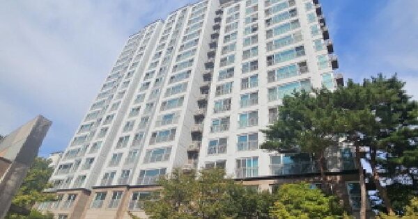 경기도 김포시 장기동 1642 고창마을 반도유보라 905동 8층802호 아파트 경매 물건 이미지