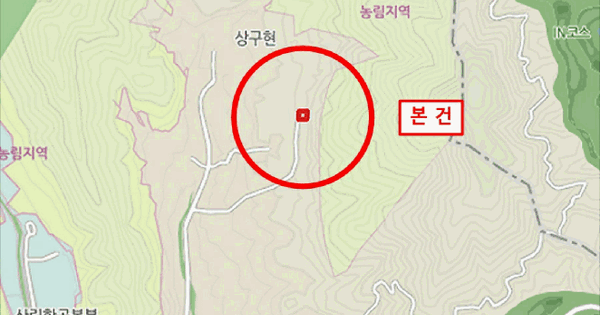 강원특별자치도 원주시 지정면 판대리 606-81  임야 경매 물건 이미지