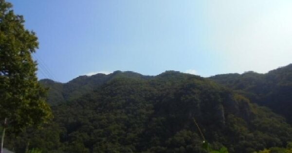 충청북도 충주시 살미면 향산리 산1  임야 경매 물건 이미지