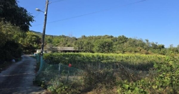 충청북도 충주시 신니면 화석리 867  전 경매 물건 이미지