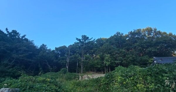 경상남도 양산시 평산동 1038-2  도로 경매 물건 이미지