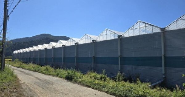 전남광주통합특별시 장흥군 장흥읍 순지리 51  답 경매 물건 이미지