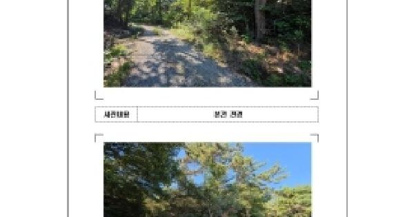 전남광주통합특별시 영암군 삼호읍 산호리 산146  임야 경매 물건 이미지