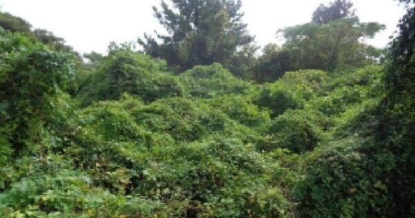 제주특별자치도 서귀포시 대정읍 무릉리 87  전 경매 물건 이미지