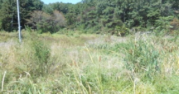 세종특별자치시  연서면 고복리 484-2  전 경매 물건 이미지