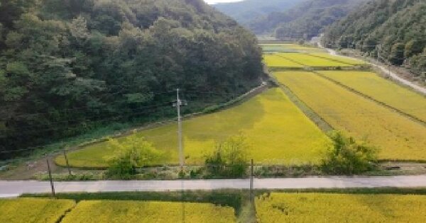 경상남도 합천군 삼가면 학리 486  답 경매 물건 이미지