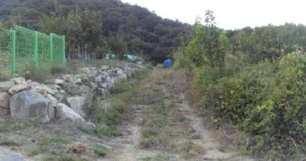 경상북도 칠곡군 기산면 봉산리 849  답 경매 물건 이미지