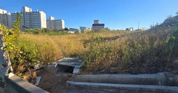 울산광역시 울주군 언양읍 송대리 217  전 경매 물건 이미지