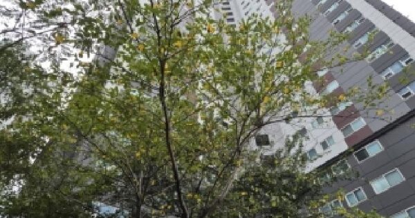 경상북도 포항시 북구 장성동 1490-8 장성삼도뷰엔빌더블유 103동 4층 404호 아파트 경매 물건 이미지