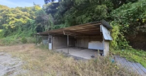 경기도 안성시 원곡면 성주리 산13  임야 경매 물건 이미지