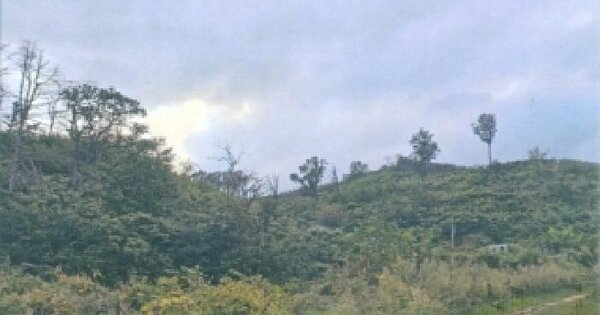강원특별자치도 동해시 부곡동 산168-8  임야 경매 물건 이미지