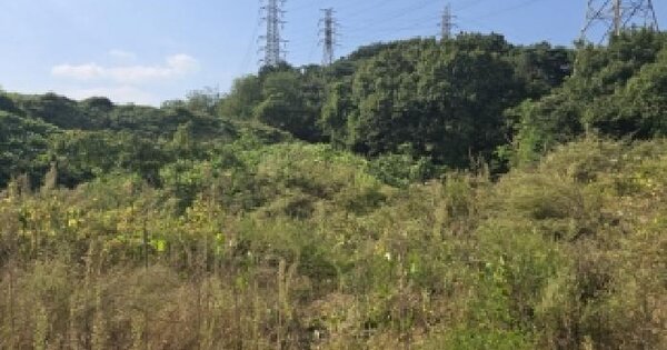 충청북도 음성군 음성읍 한벌리 707-1  전 경매 물건 이미지
