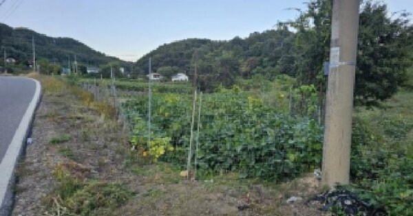 충청북도 괴산군 청천면 고성리 519-1  전 경매 물건 이미지