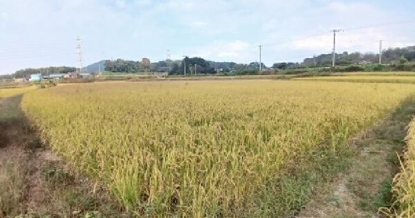 충청남도 당진시 송악읍 석포리 335-11  임야 경매 물건 이미지