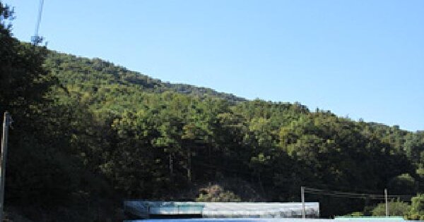 경상북도 상주시 모동면 금천리 산10-1  임야 경매 물건 이미지