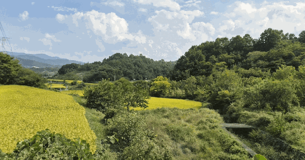 경상남도 산청군 금서면 특리 305-1  창고시설 경매 물건 이미지