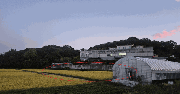 울산광역시 울주군 언양읍 반곡리 811-2  답 경매 물건 이미지