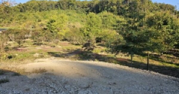 충청북도 괴산군 괴산읍 제월리 396-1  답 경매 물건 이미지